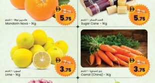 عروض سفاري