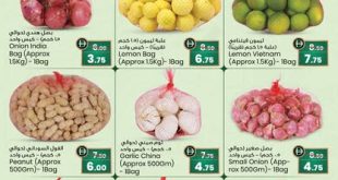 عروض سفاري